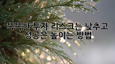 💰 똑똑한 투자, 리스크는 낮추고 성공은 높이는 방법! 📈